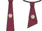 Обязательный элемент ученической одежды - бордовый галстук с эмблемой ГУО